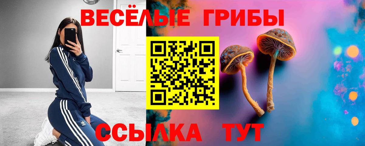 Галлюциногенные грибы MAGIC MUSHROOMS Менделеевск